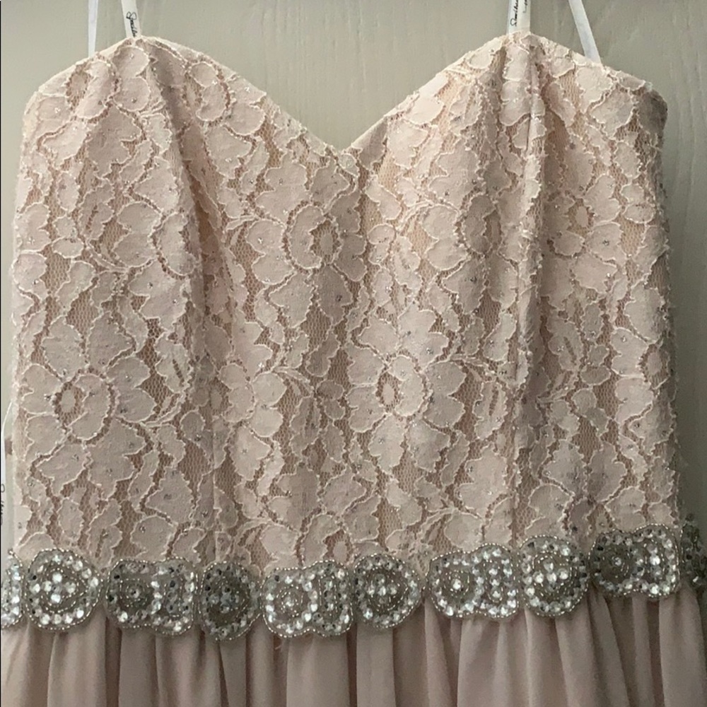 David’s bridal bridesmaids dress(strapless)